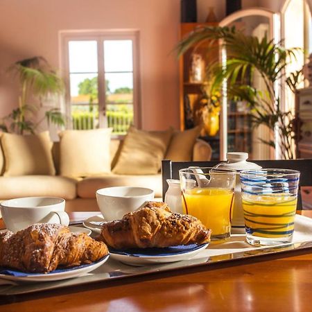 Cascina Canova B&B San Giuliano Terme Luaran gambar