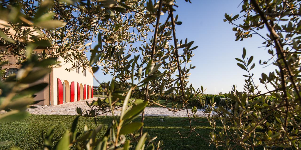Cascina Canova B&B San Giuliano Terme Luaran gambar