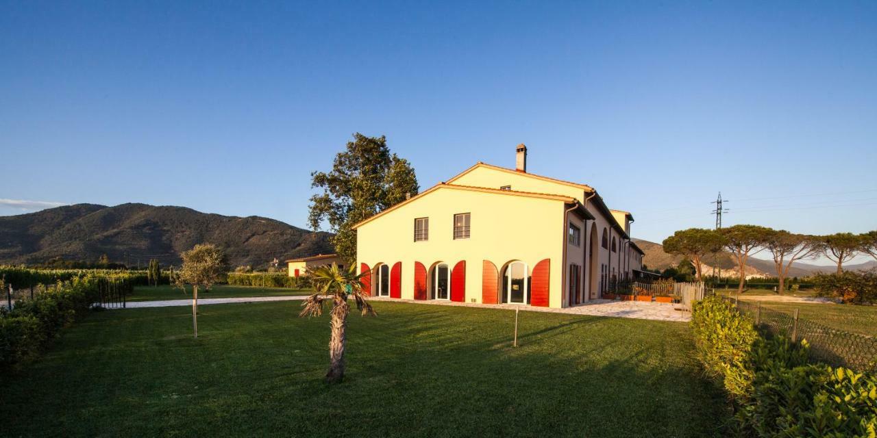 Cascina Canova B&B San Giuliano Terme Luaran gambar